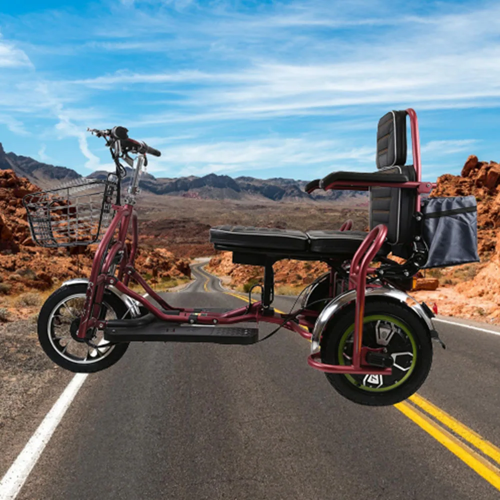 Двухместный Электрический трехколесный велосипед с литиевой ячейкой, электромобиль мощностью 350 Вт, складной аккумулятор для отдыха, транспортное средство1