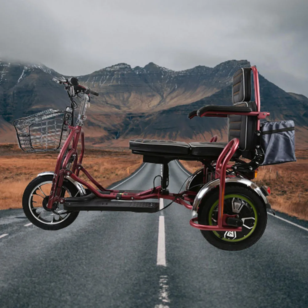 Двухместный Электрический трехколесный велосипед с литиевой ячейкой, электромобиль мощностью 350 Вт, складной аккумулятор для отдыха, транспортное средство2