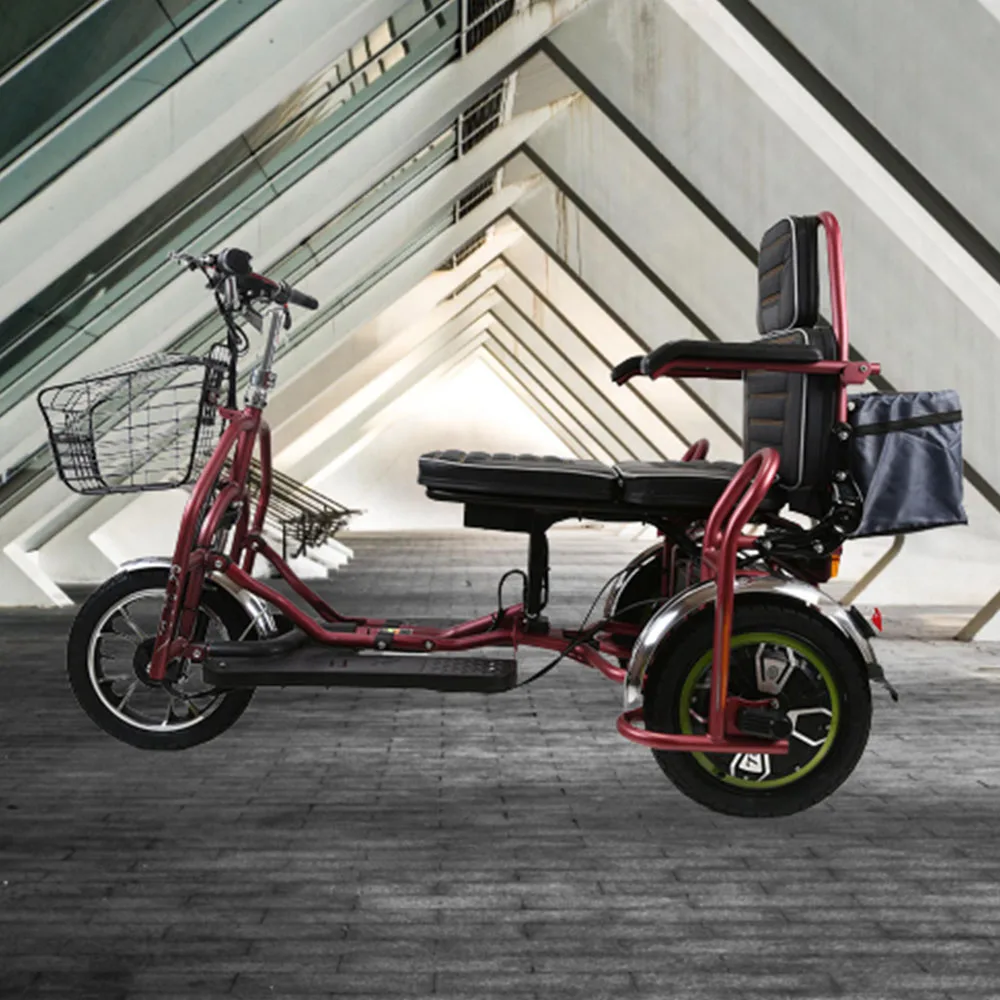 Двухместный Электрический трехколесный велосипед с литиевой ячейкой, электромобиль мощностью 350 Вт, складной аккумулятор для отдыха, транспортное средство3