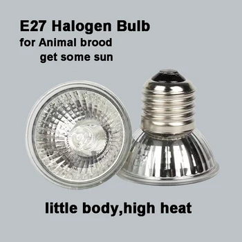 Лампа Полного спектра Галогена E27 220V для Выведения Выводка на Солнце для Животных