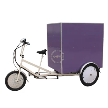 Педальный трехколесный мобильный Электрический грузовой велосипед для взрослых, транспортный трехколесный грузовой боксовый велосипед для продажи